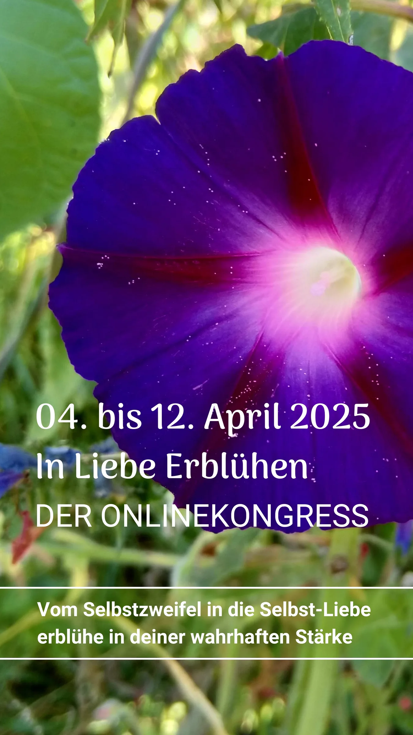 Bild zu In Liebe Erblühen
