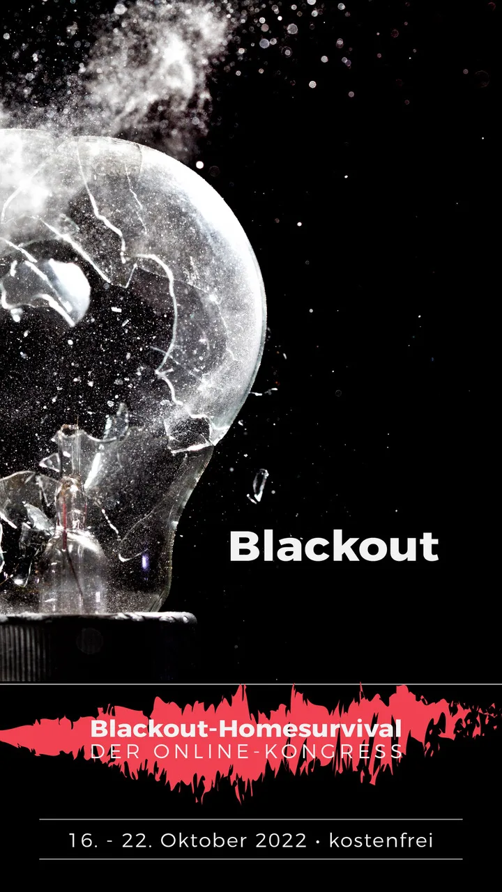 Bild zu Blackout-Homesurvival Online-Kongress